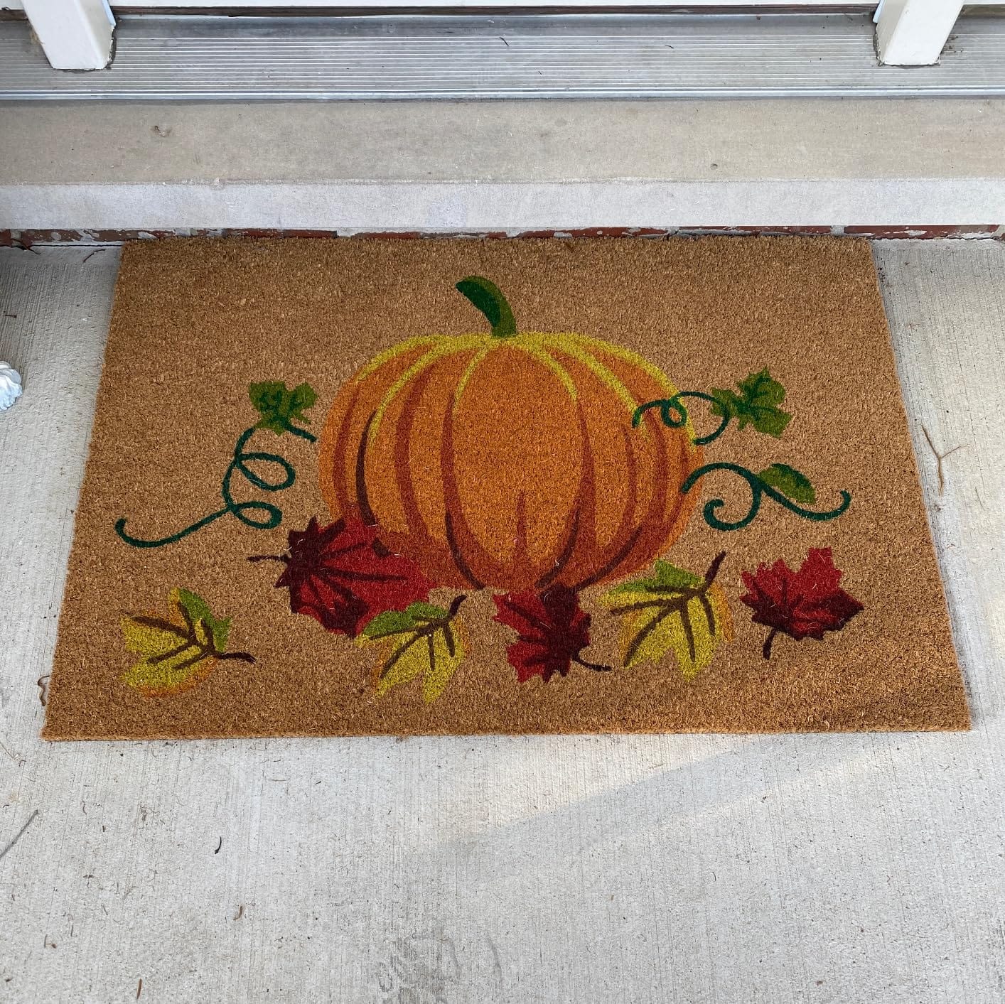 Calloway Mills 121981729 Nature's Bounty Outdoor Coir Doormat, Non Slip Vinyl Backing,Fall Front Door Mat,17