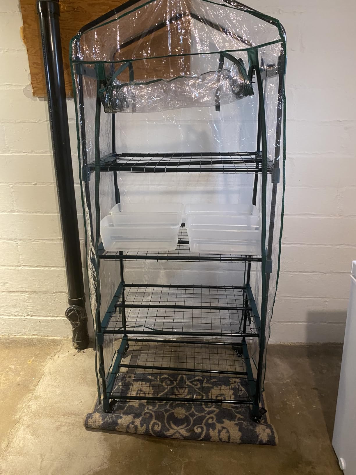 4 Tier Mini Greenhouse - Portable Greenhouse with Locking Wheels and PVC Cover for Indoor or Outdoor Green House by Pure Garden customer photo 2