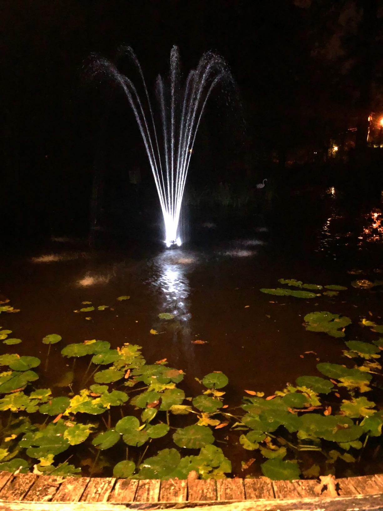 Pond Boss DFTN12003L Floating Fountain With Lights, 50 Foot Power Cord, 1/4 hp customer photo 2