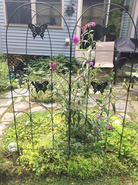 Amagabeli 2 Pack Garden Trellis for Climbing Plants 60