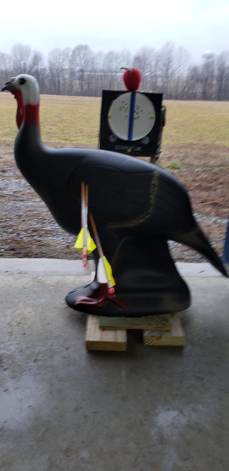 SHOOTER Turkey 3D Archery Target, Lifelike Solid Body Design for Realistic Practice, Scoring Ring in Vitals, Includes Ground Stakes, 32”H x 31.5” W Size customer photo 1