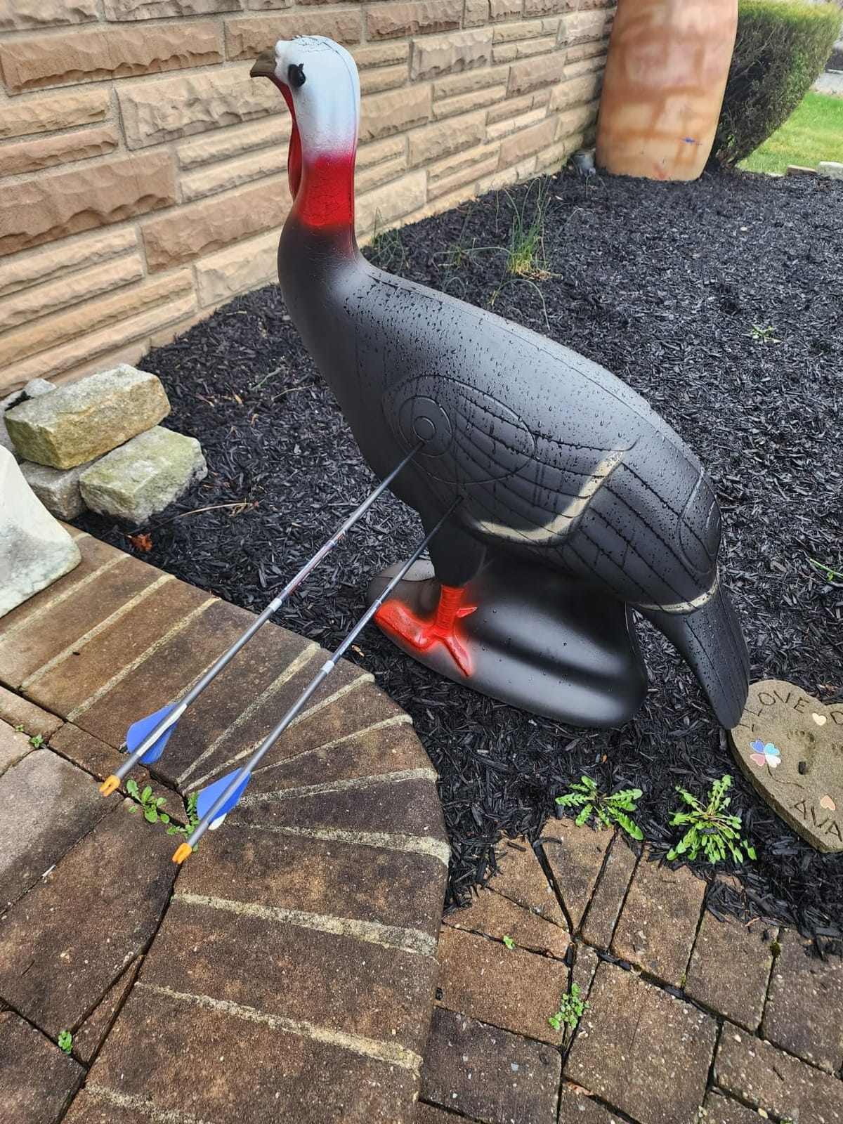 SHOOTER Turkey 3D Archery Target, Lifelike Solid Body Design for Realistic Practice, Scoring Ring in Vitals, Includes Ground Stakes, 32”H x 31.5” W Size customer photo 2