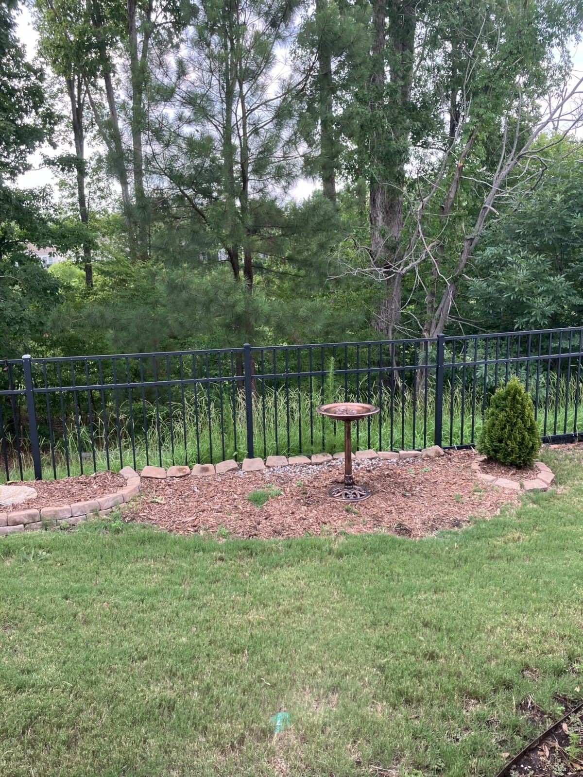 Best Choice Products 28in Pedestal Bird Bath, Vintage Outdoor Resin Accent Decoration w/Fleur-de-Lis Accents - Green customer photo 1