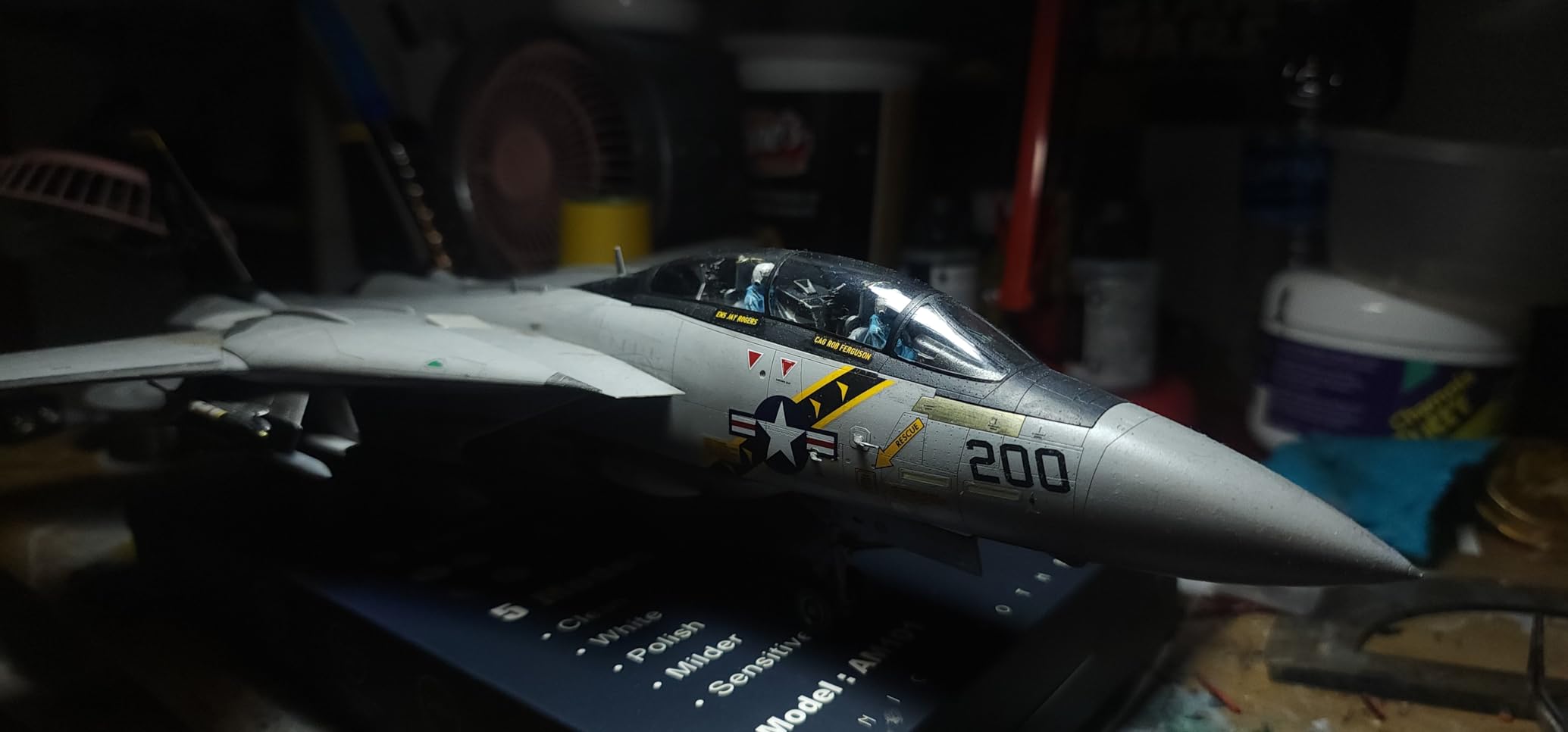 1:48 Tamiya Grumman F-14A Tomcat Model Kit customer photo 2