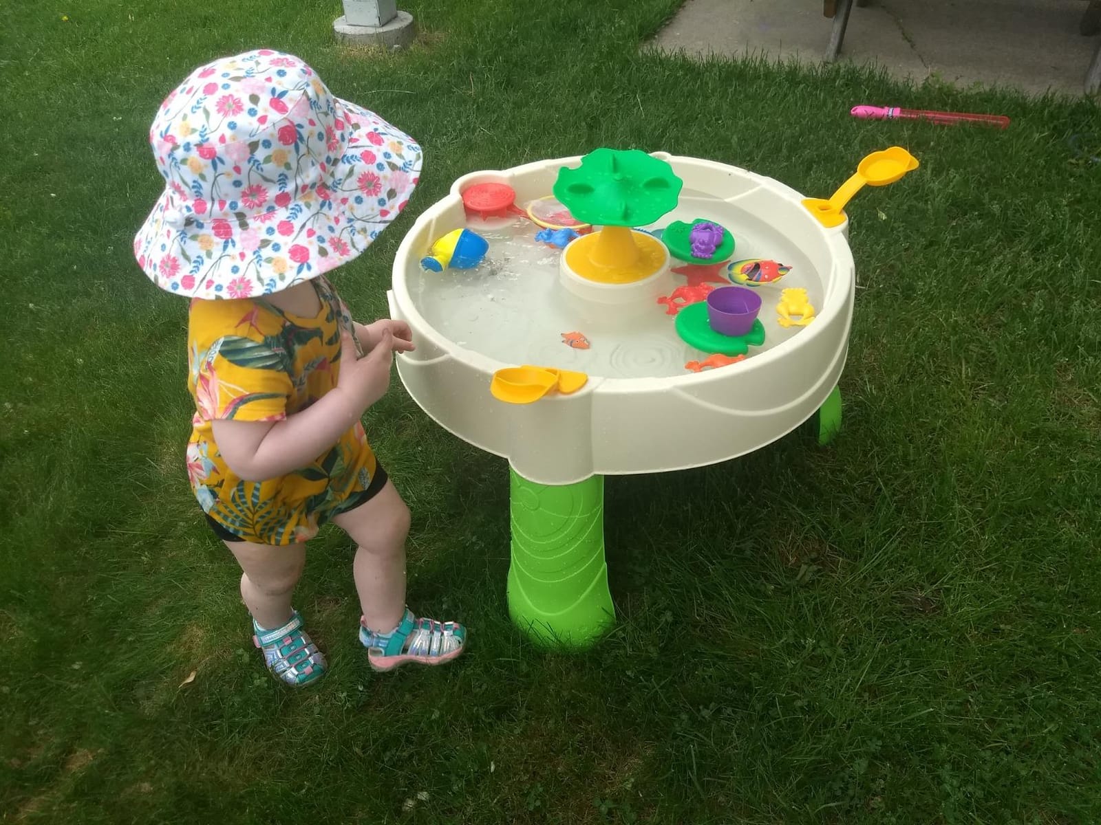 Little Tikes Frog Pond Water Table, 24 months to 36 months customer photo 1