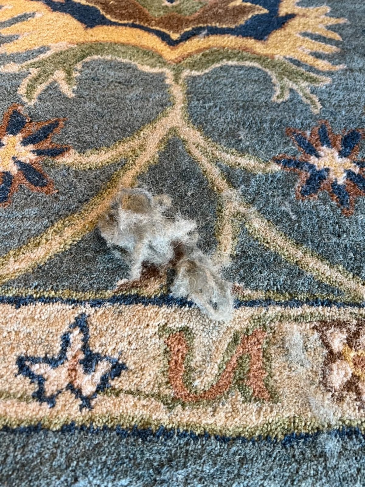SAFAVIEH Area Rug 8x10 - Heritage Collection - Large - Light Blue, Handmade Wool, Traditional Oriental Design, Ideal for Living Room, Bedroom, Office, Dining Space (HG651A) customer photo 1