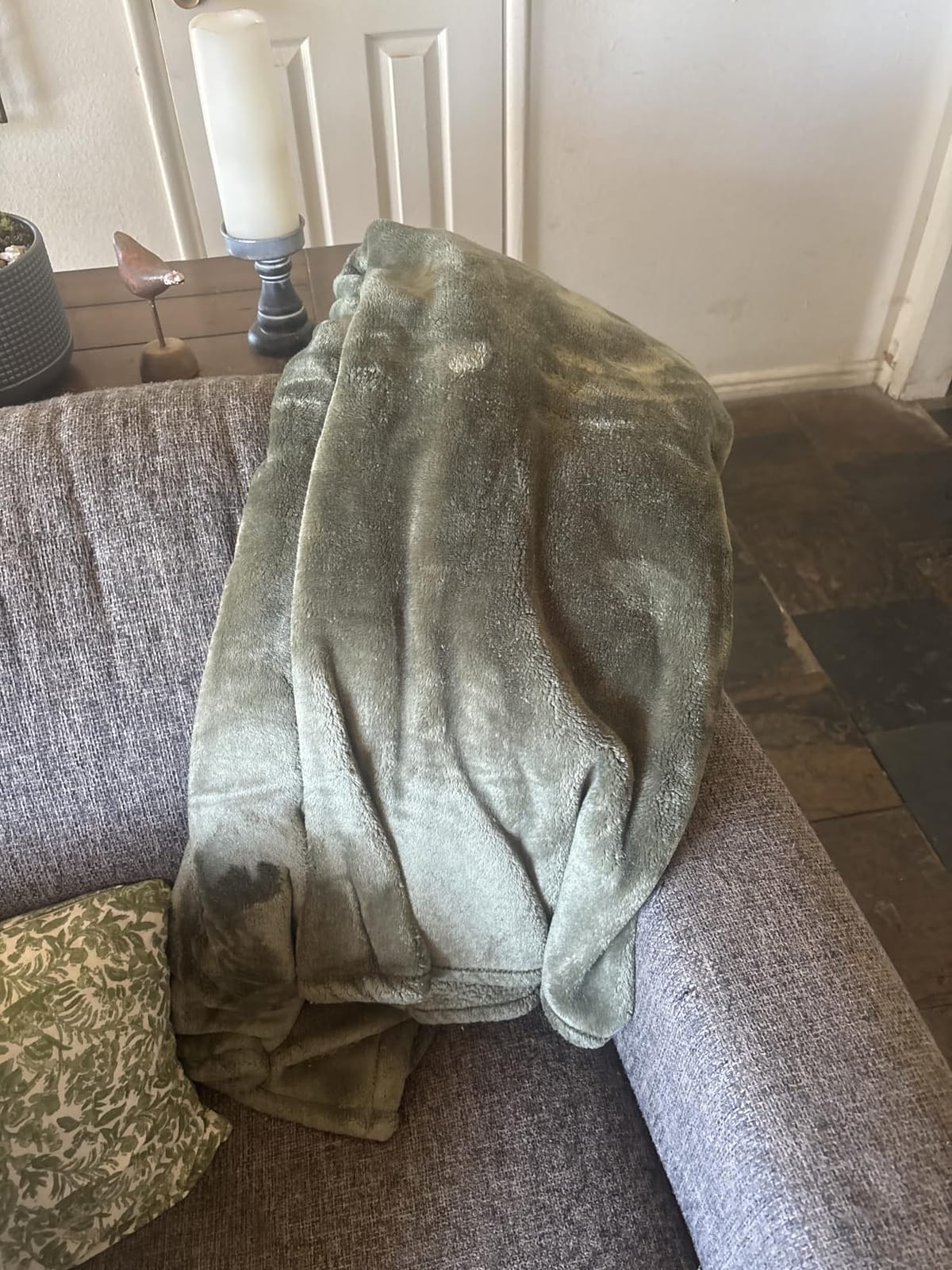 Exclusivo Mezcla Soft Large Fleece Throw Blanket for Couch, Forest Green | 50x70 Inches, Double-Sided Brushed Flannel, Lightweight Plush Cozy Blanket for Home Decor, All Season, Machine Washable customer photo 2