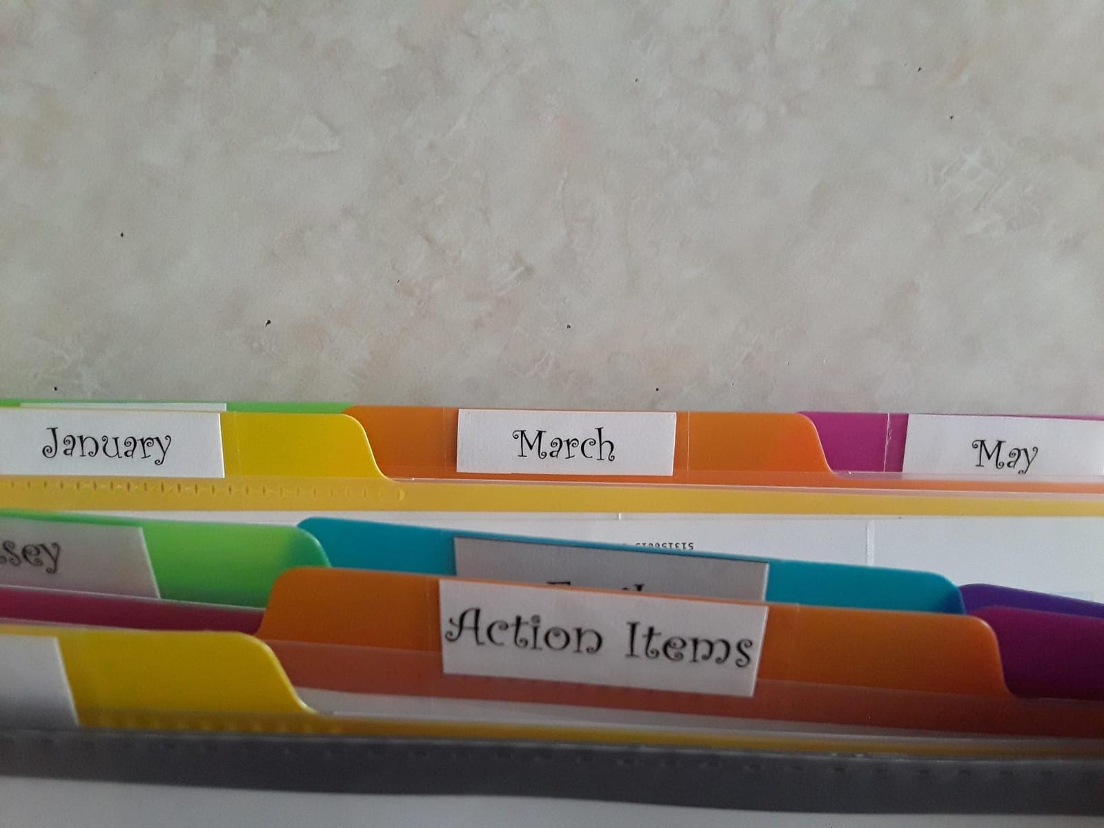 Smead Project Organizer, 24 Pockets, Grey with Assorted Bright Tabs, Tear Resistant Poly, 1/3-Cut Tabs, Letter Size (89206) customer photo 1