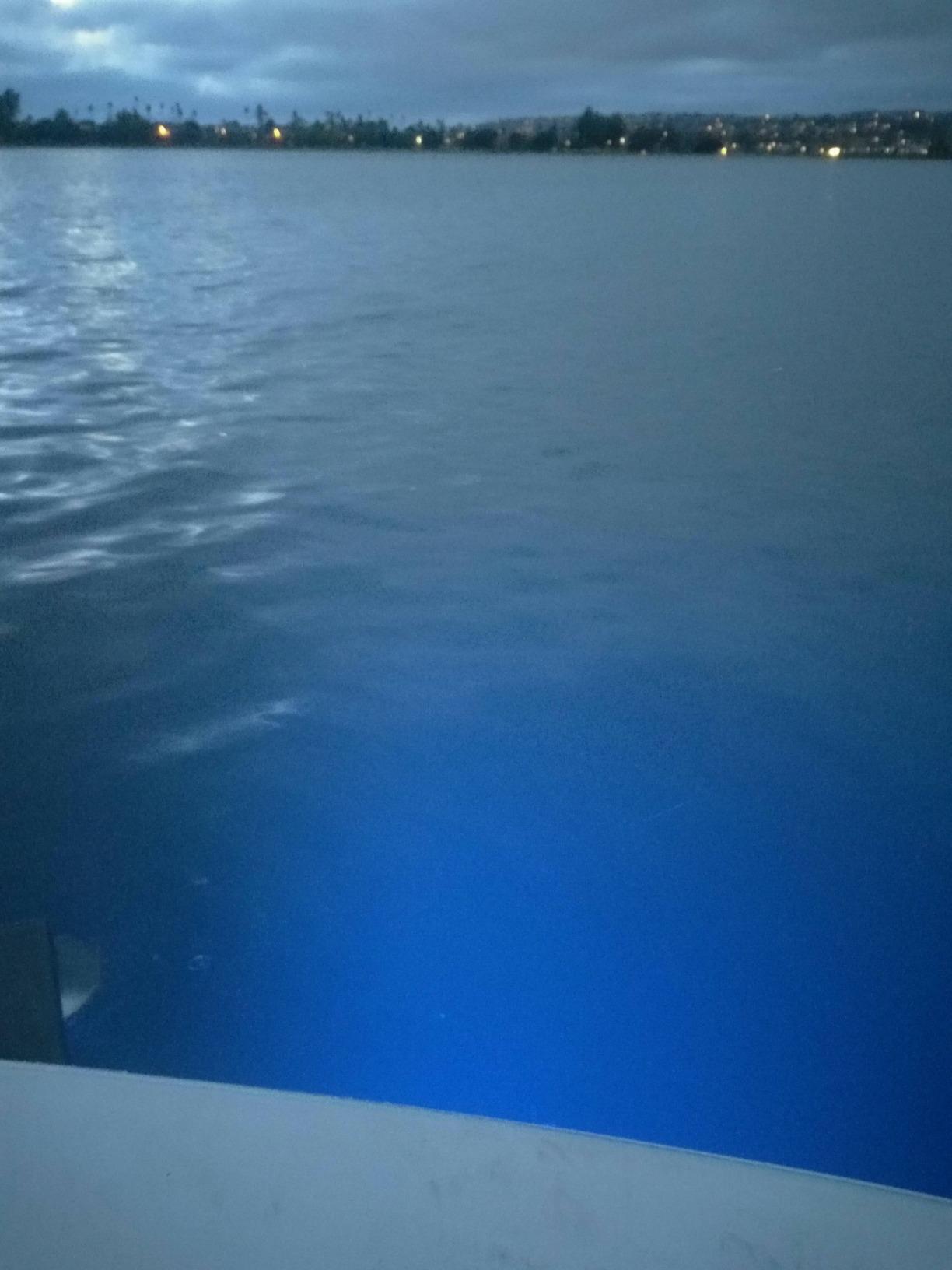 316L Stainless Steel Underwater 1/2
