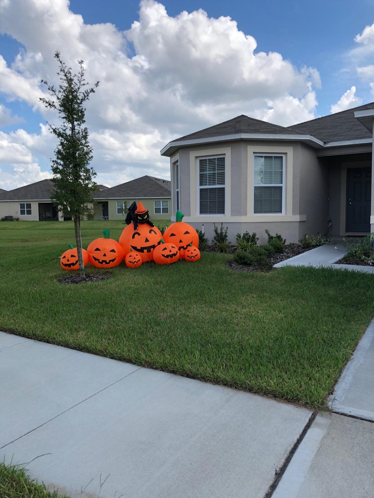Joiedomi 7 FT Long Halloween Inflatables Pumpkin Outdoor Decorations, 7 Pumpkins Outside Decoration with Witch's Cat with Build-in LEDs Blow Up Inflatables for Party Yard Lawn Garden Decor customer photo 2