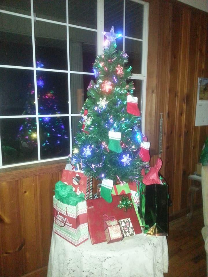 Goplus 3FT Pre-Lit Fiber Optic Artificial Christmas Tree, with Multicolor Led Lights and Snowflakes (3 FT) customer photo 2