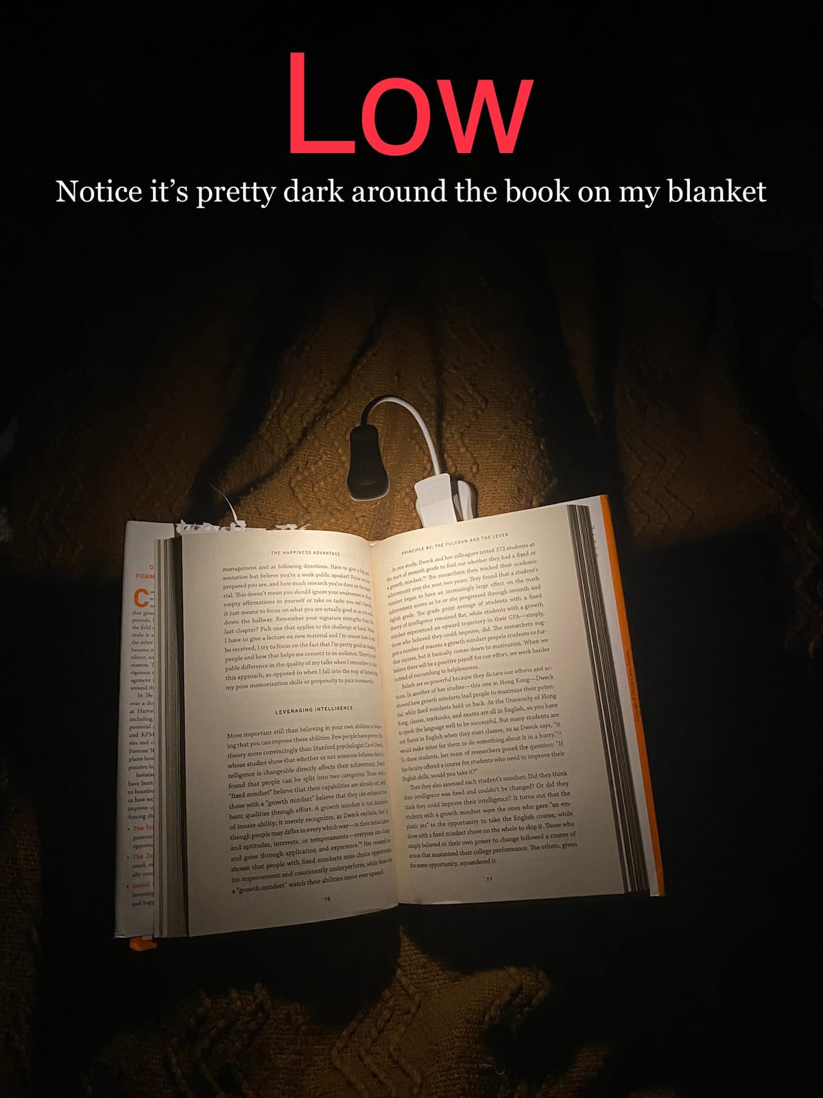 Vekkia 3000K Warm LED Rechargeable Book Light(Elegant White) customer photo 1