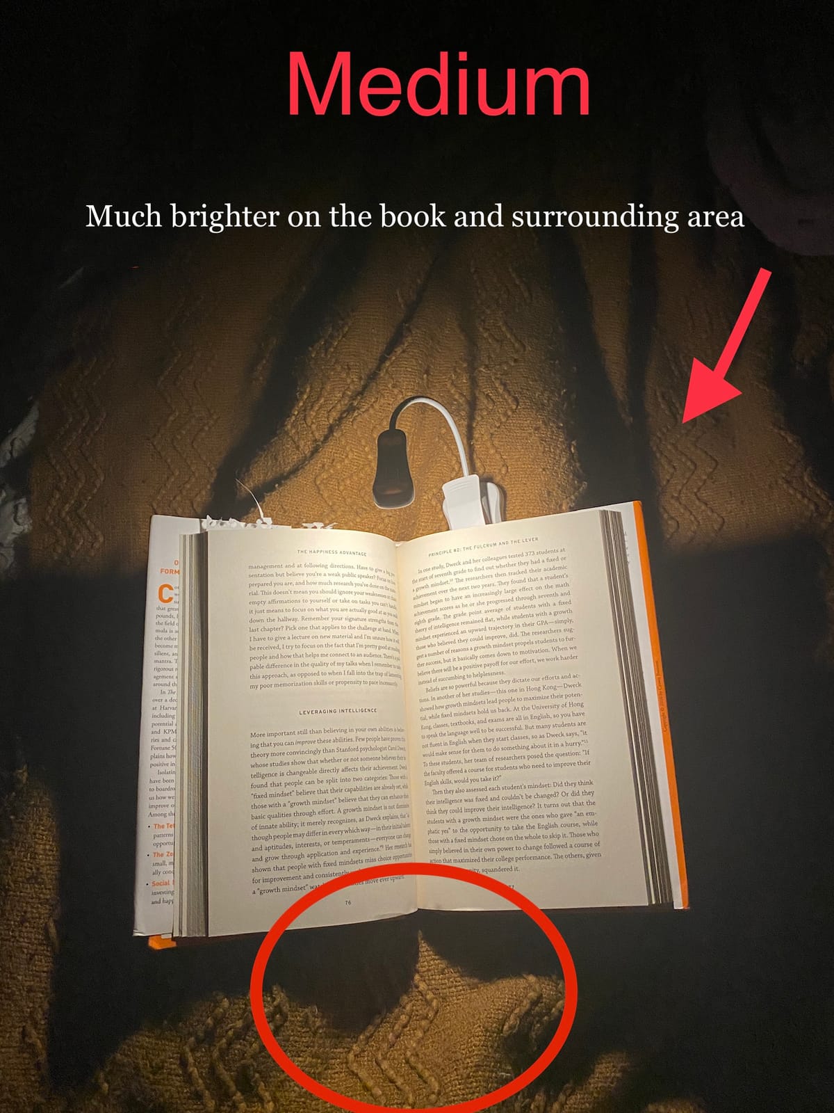 Vekkia 3000K Warm LED Rechargeable Book Light(Elegant White) customer photo 2