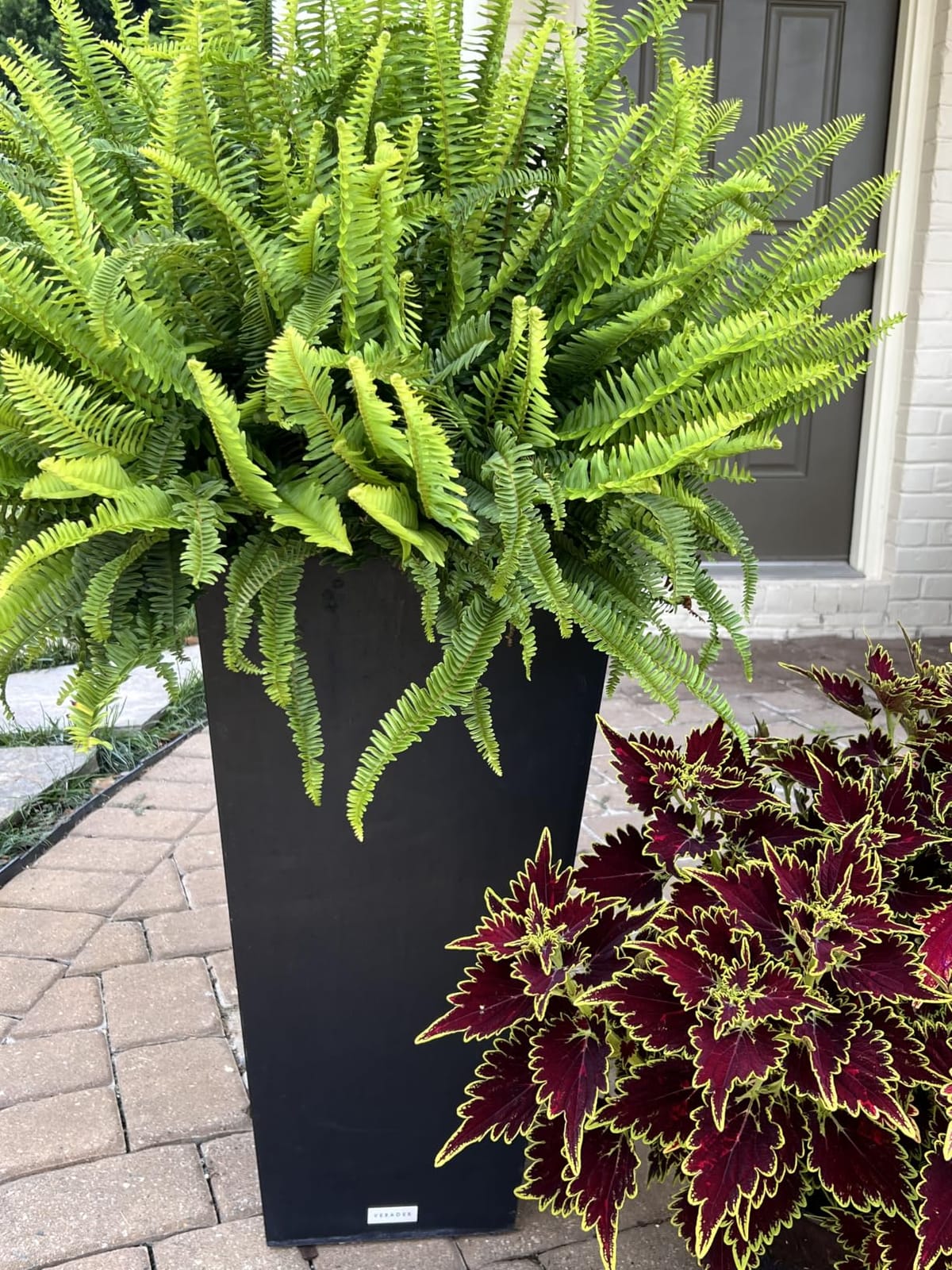 Veradek Pure Series Taper Planter - Tall Tapered Outdoor Planter with Shelf customer photo 2