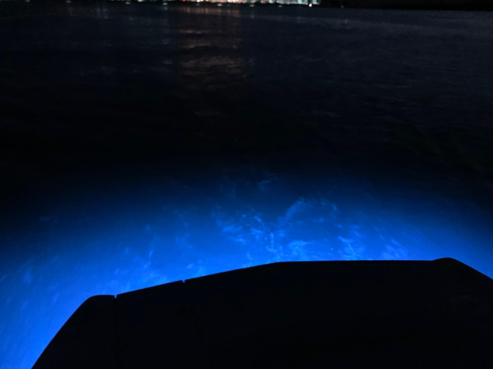 Lumitec 101516 SeaBlazeX2 LED Underwater Boat Light, Bronze customer photo 1