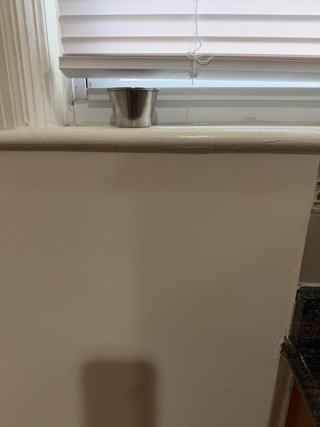 LOTUS & WINDOWARE Cordless Mini Blind, 1