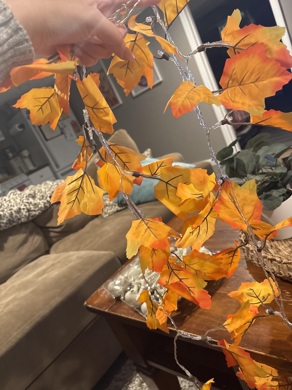 2-Pack Lighted Fall Garland, Total 16.4ft 40 LED Autumn String Lights customer photo 1