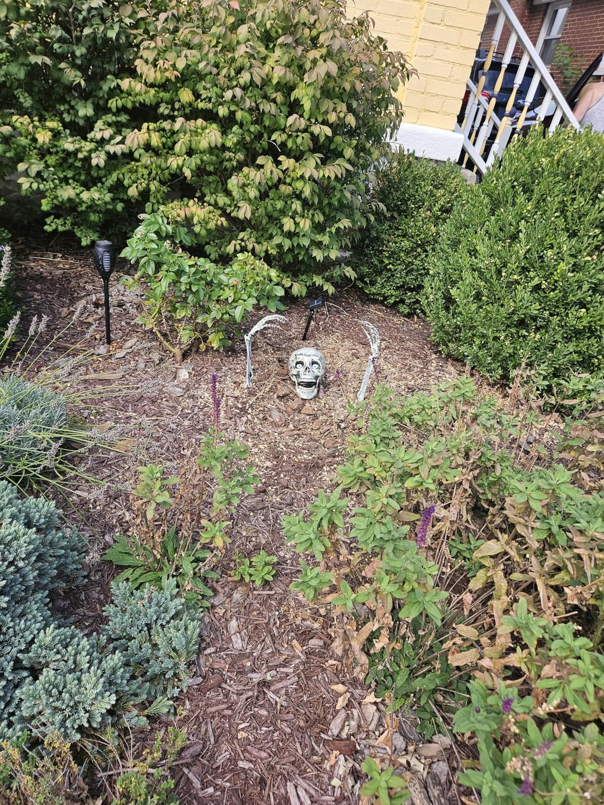 3 Pc Realistic Skeleton Yard Stakes, Halloween Decorations Outdoor customer photo 1
