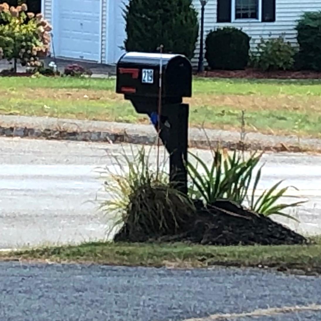Gibraltar Mailboxes OM160BEC Outback Double Door, Large Capacity Mailbox, Black customer photo 2