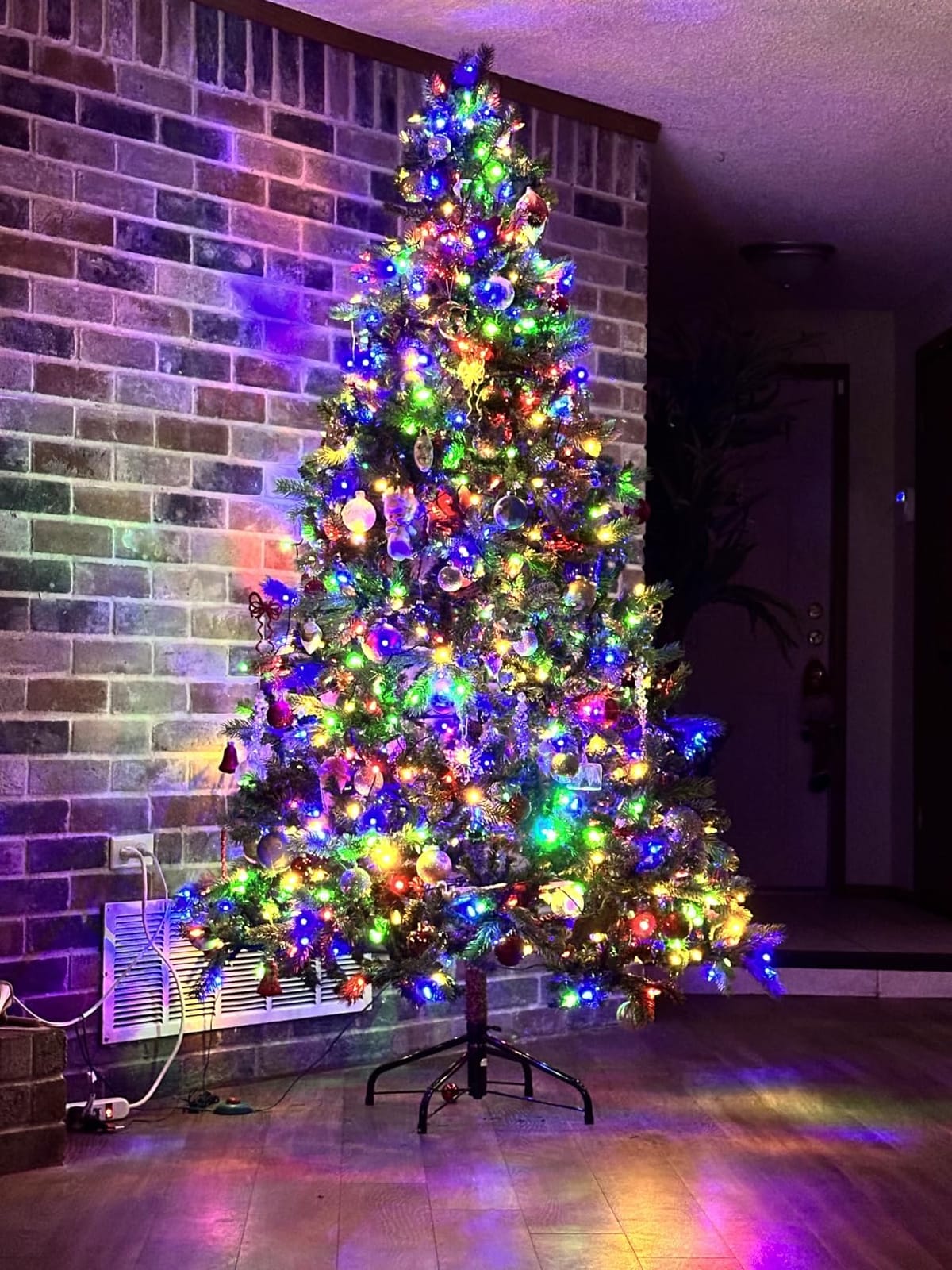 Brizled Outdoor Christmas Tree Lights, 65.67 ft 200 LED Indoor String Light customer photo 1
