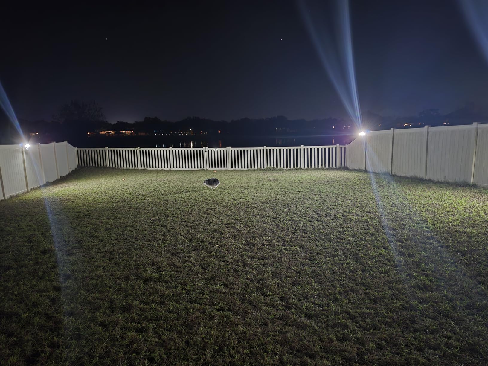 LEPOWER Solar LED Security Lights, PIR Motion Sensor Outdoor, 1600LM, Yard customer photo 2