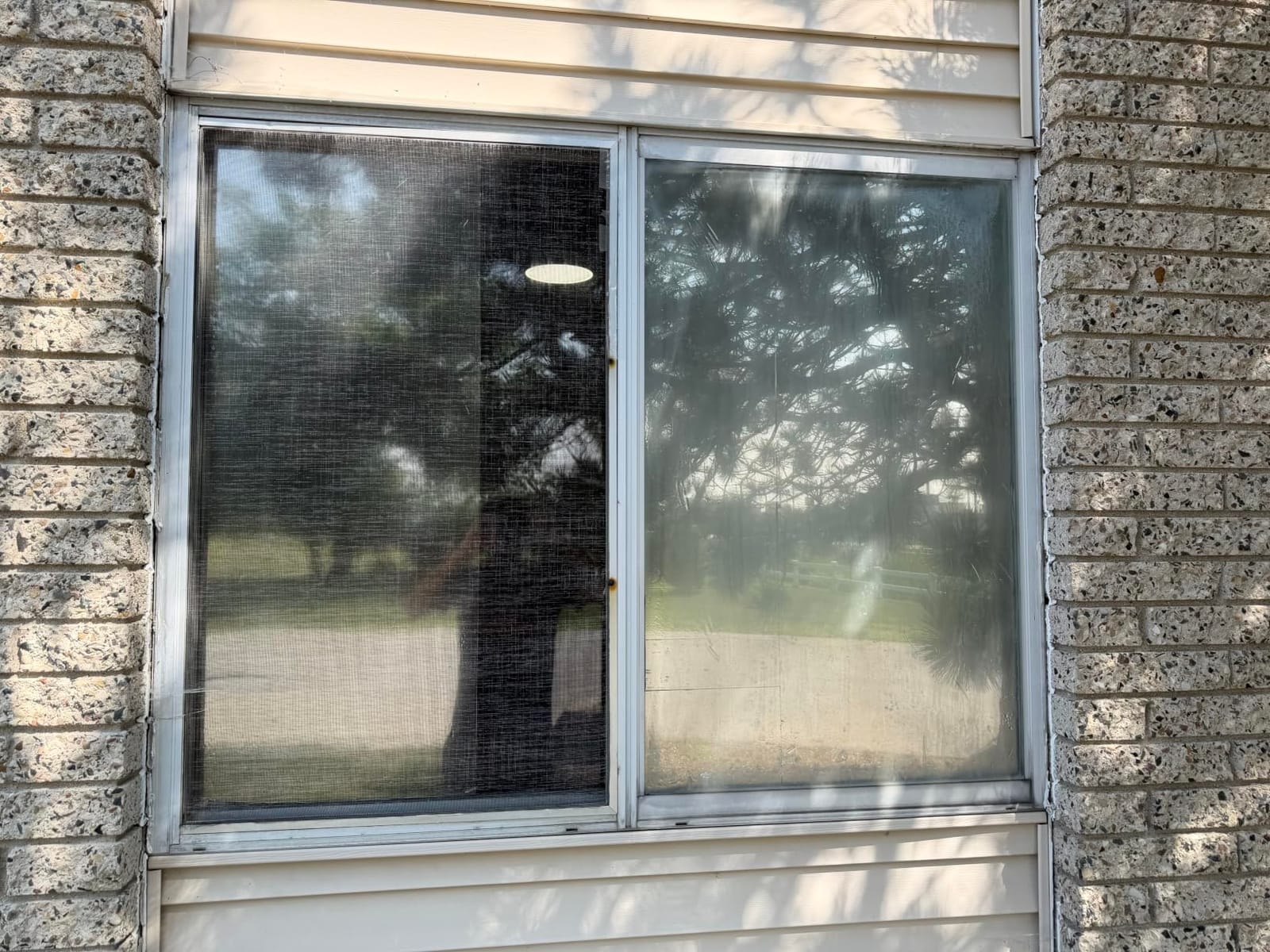 KESPEN Window Privacy Film One Way Static Cling Tint, Black, 17.5InX6.5Ft customer photo 1