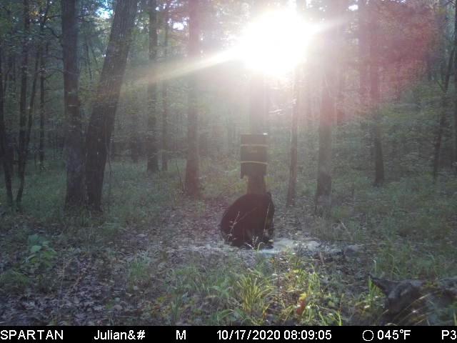 Barronett Blinds Prowler 300, Portable Hunting Blind, Tall Hub Blind, Shoot While Standing, Lightweight, 2-Person, Bloodtrail Woodland, 80” x 75” x 75”, PR300BT customer photo 1