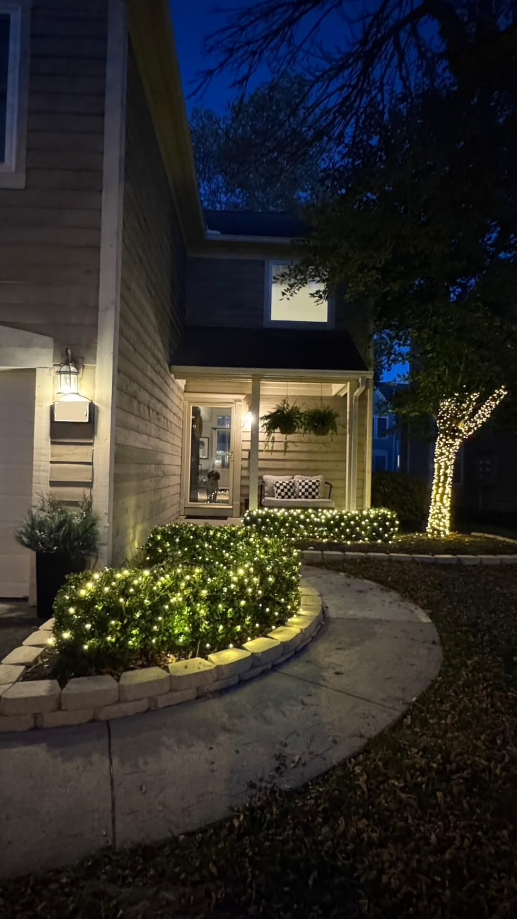 LYHOPE 12ft x 5ft 360 LED Christmas Net Lights, 8 Modes Low Voltage Mesh Christmas Decorative Lights for Xmas Trees, Bushes, Wedding, Garden, Outdoor, Indoor Decor (Warm White) customer photo 2