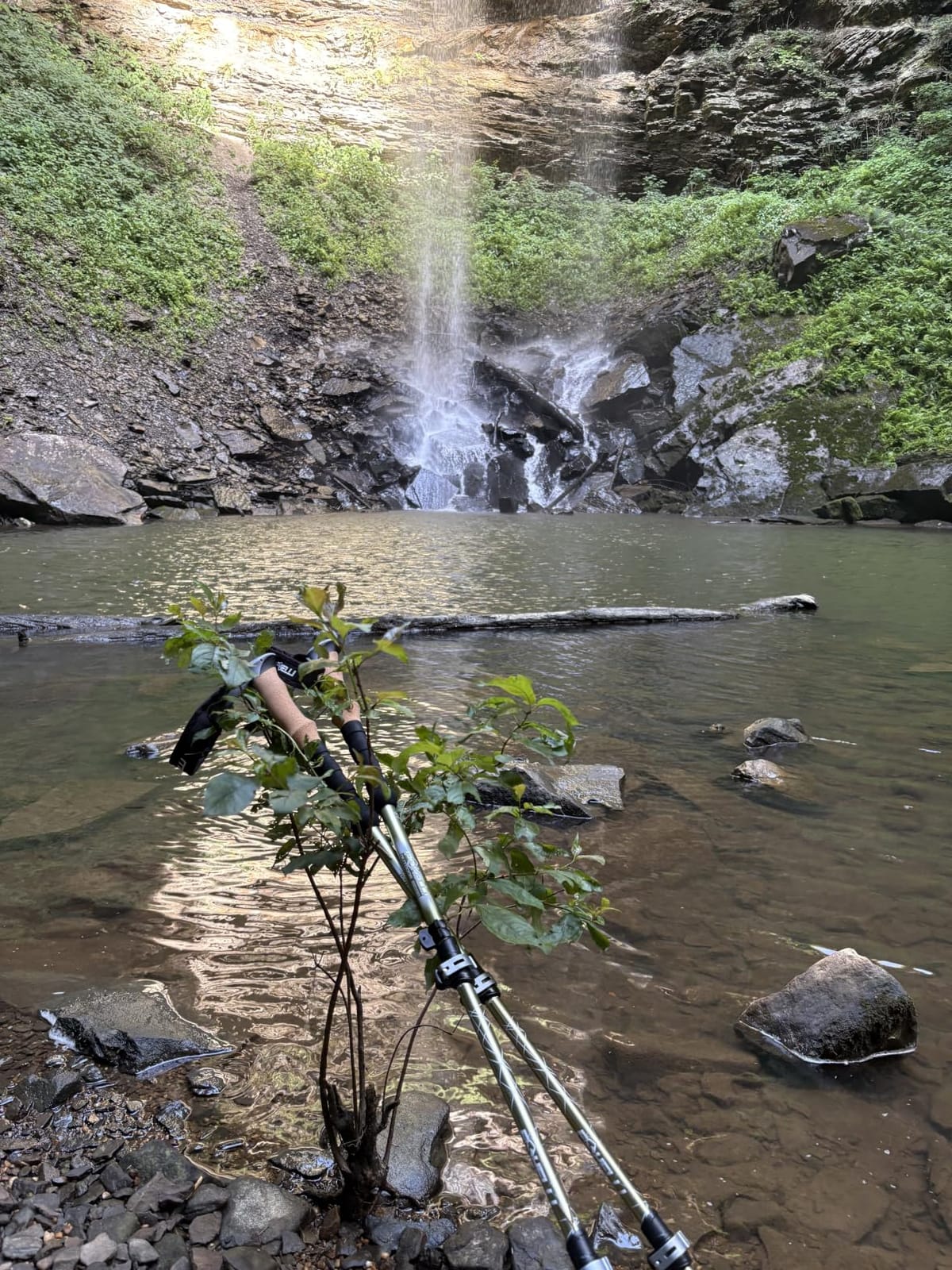 Foxelli Trekking Poles – Lightweight Collapsible Aircraft Grade Aluminum Hiking Poles with Cork Grips Quick Locks & All-Terrain Accessories – Pair of 2 customer photo 1