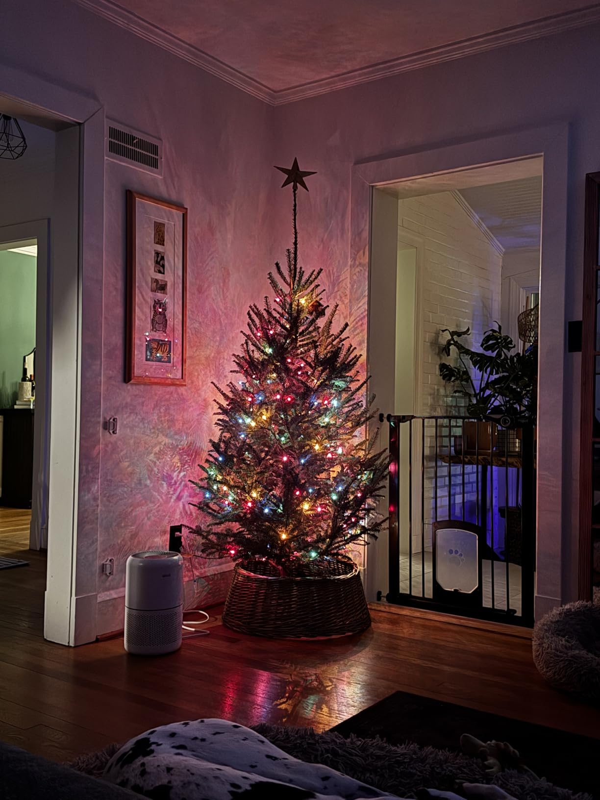 Glitter Star Christmas Tree Topper - 8