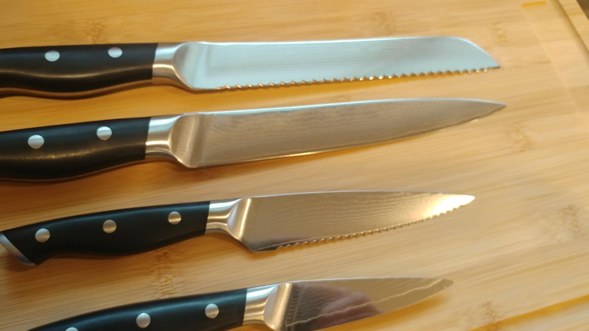 NANFANG BROTHERS 9-Piece VG10 Damascus Knife Set, ABS Handle customer photo 2