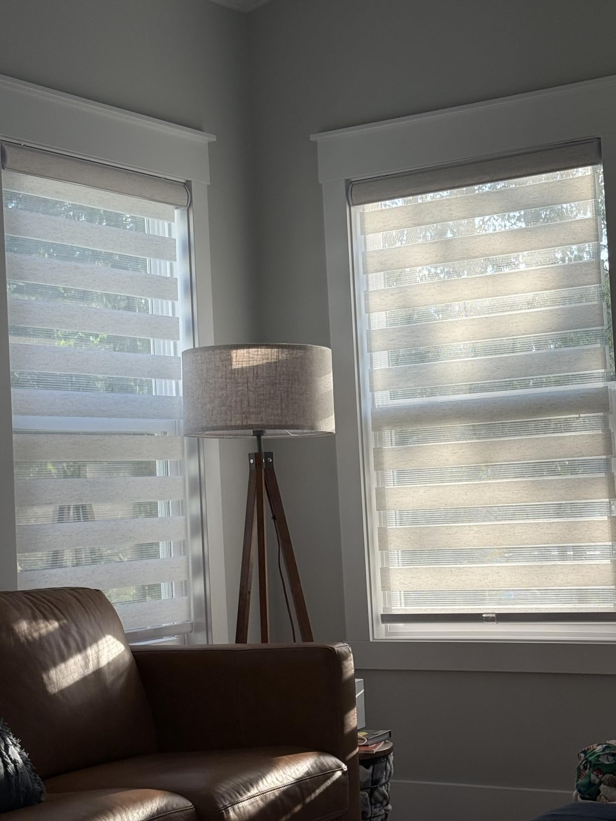 CHICOLOGY Zebra Blinds Cordless, Light Filtering, White Shade, 34W x 72H customer photo 2