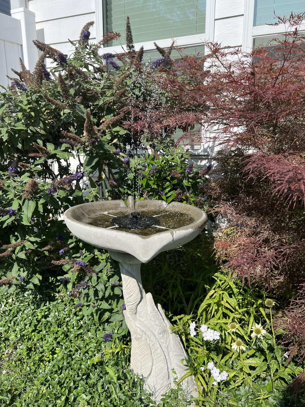 Mademax Solar Bird Bath Fountains, Upgrade 1.4W Solar Fountain Pump with 8 Nozzles & 4 Brackets, Free Standing Floating Solar Powered Water Fountain Pump for Bird Bath, Garden, Pond, Pool, Outdoor customer photo 1