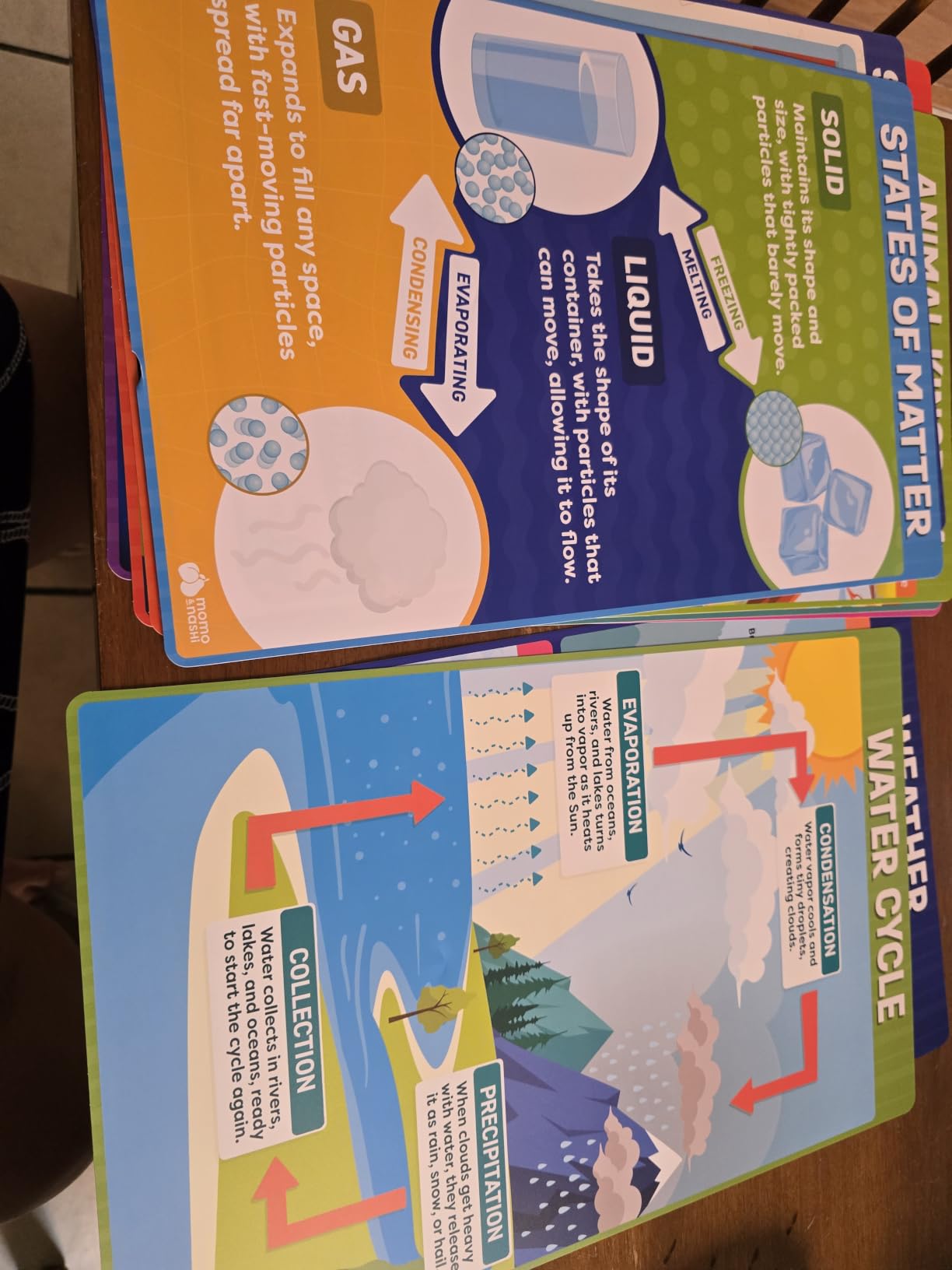United States and World Map For Kids Classroom Posters 2pc Set - 24” x 16” Waterproof US and World Map for Classroom Decor Posters - Teacher Classroom Must Haves - Homeschool Back to School Supplies customer photo 1
