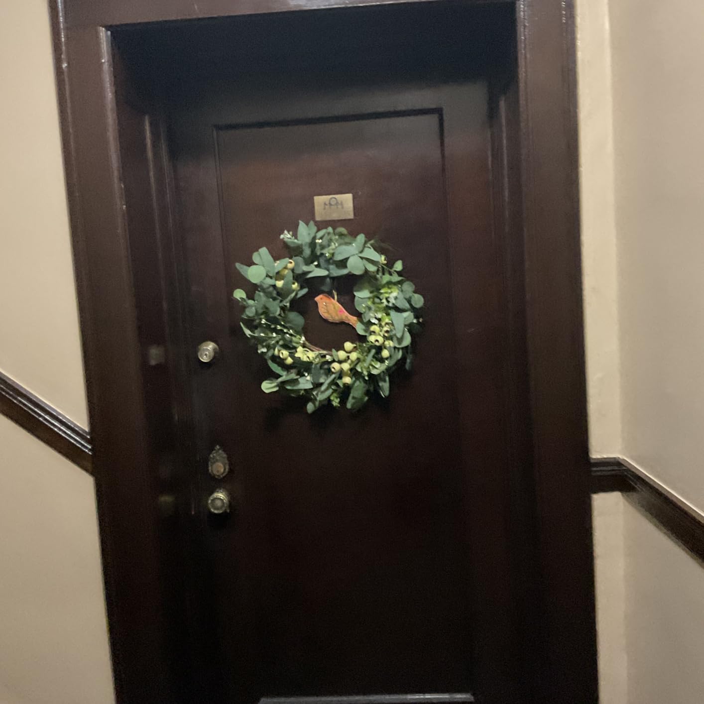 JINGHONG Eucalyptus Wreaths for Front Door 20 Inch Green Home Decor for Wall Porch Window Spring Summer Wreath with Big Berries for All Seasons Winter Christmas customer photo 1