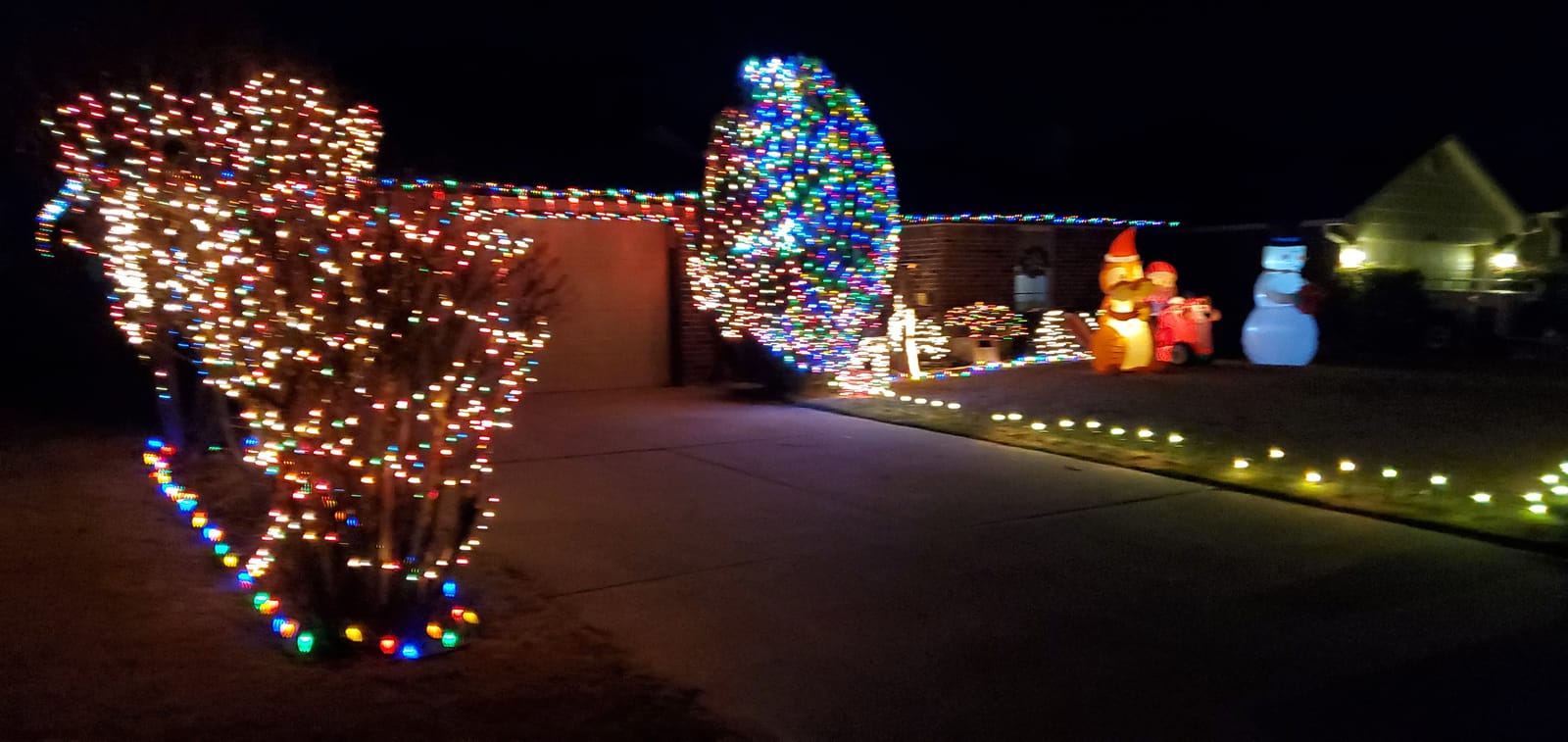 Lomotech 12ft x 5ft 360 LED Christmas Net Lights(1 Pack, White) customer photo 1