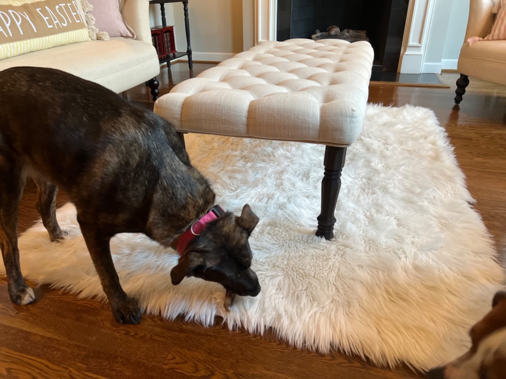 Carvapet 2x4 Faux Sheepskin Rug White Soft Shaggy Faux Fur Carpet customer photo 1