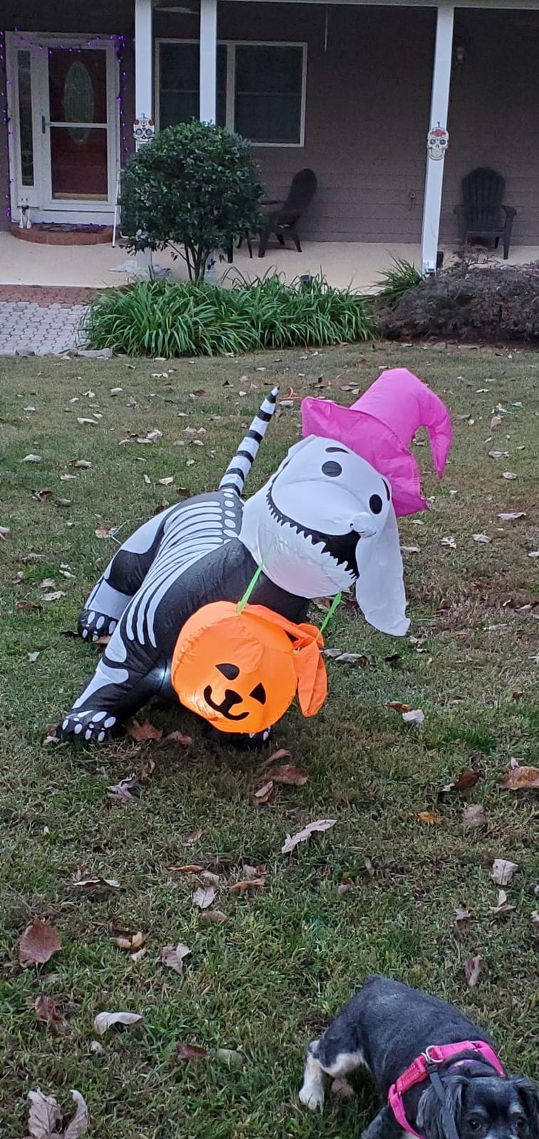 GOOSH 5.5 FT Halloween Inflatables Outdoor Decorations Skeleton Puppy Inflatable Yard Decoration with Build-in LEDs Blow Up Pumpkin for Halloween Party Indoor Outdoor Yard Garden customer photo 1