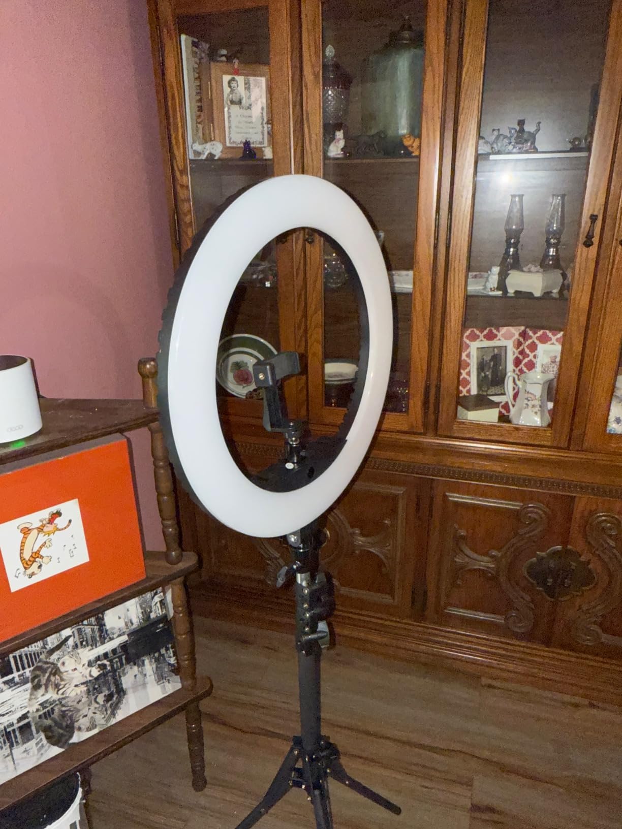 18 inch LED Ring Light with Tripod Stand Dimmable Makeup Selfie Ring Light for Studio Portrait YouTube Vlog Video Shooting with Carrying Bag and Remote Controller, CRI 90 customer photo 1