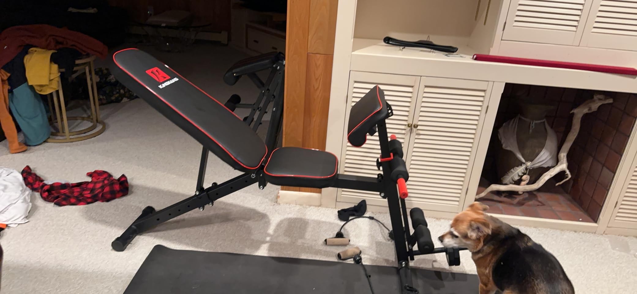 K KiNGKANG Adjustable Weight Bench, Foldable Home Gym, 1050lbs Capacity customer photo 1