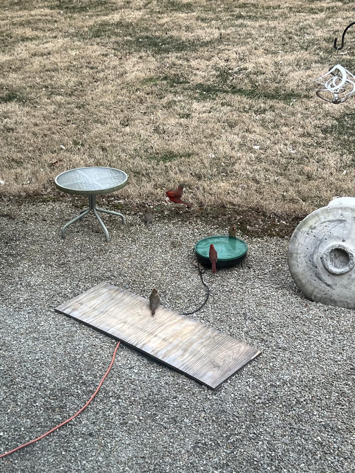 Heated Bird Bath for Outdoors for Winter, 3 Easy Ways to Mount Detachable Bird Bath Bowl, 75W Heated Bird Baths with Thermostatically Controlled for Garden Yard Patio Lawn, Terracotta customer photo 2