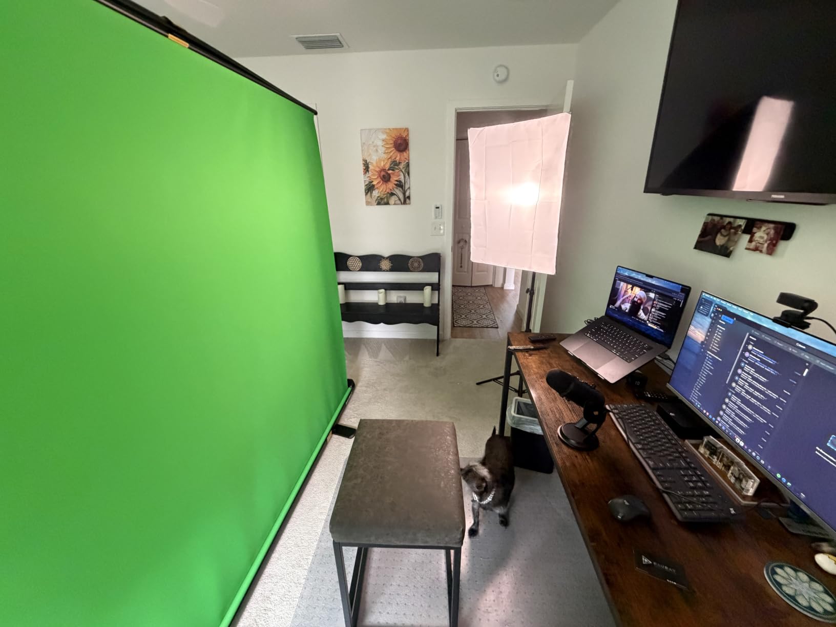 【Wider Style】 RAUBAY 78.7 x 82.7in Large Collapsible Green Screen Backdrop customer photo 2