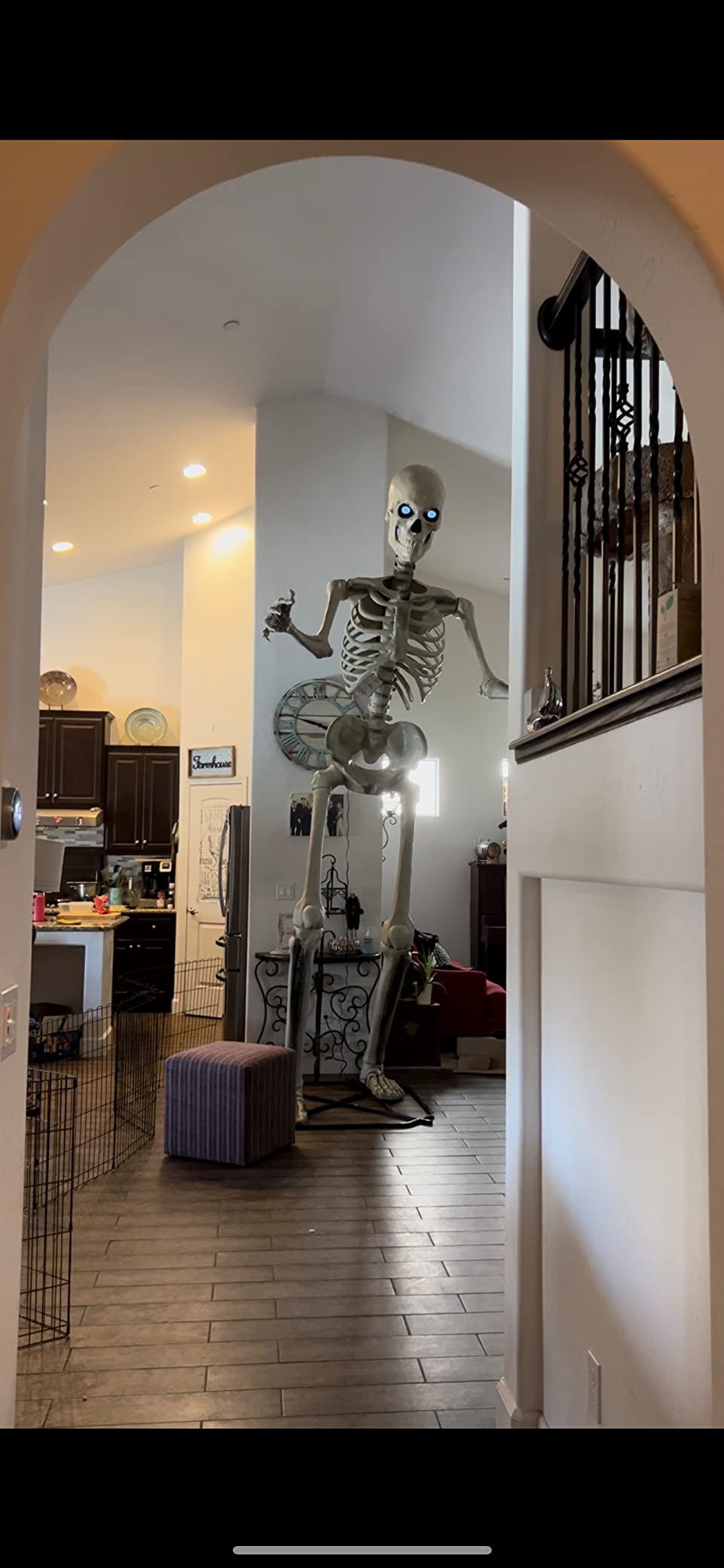 Home Accents 12 ft. Giant-Sized Skeleton with LifeEyes customer photo 2