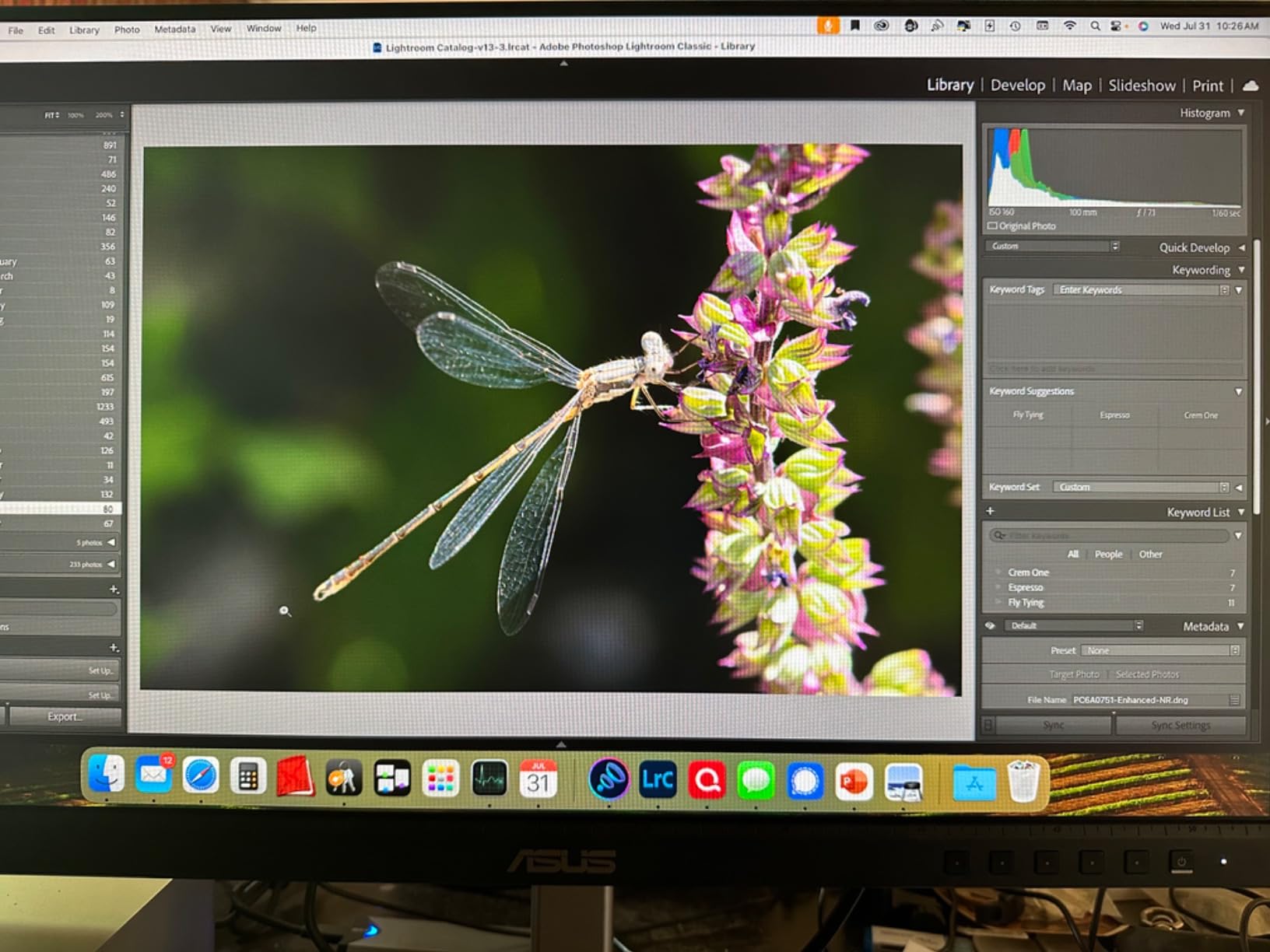 ASUS ProArt PA247CV 24 Inch 1080p USB-C Professional Monitor customer photo 1
