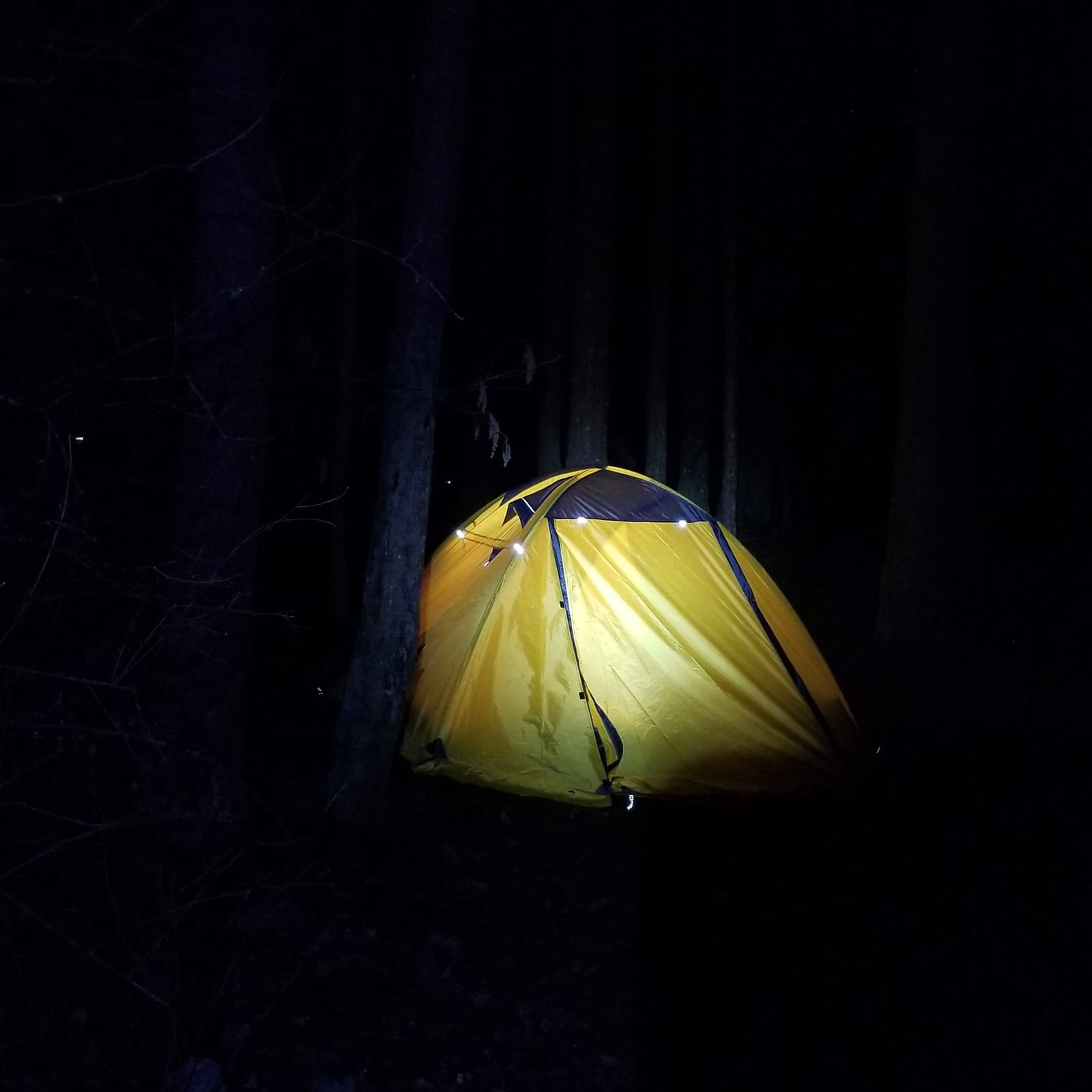 GEERTOP Waterproof 4 Person 4 Season Camping Tent for Family customer photo 2