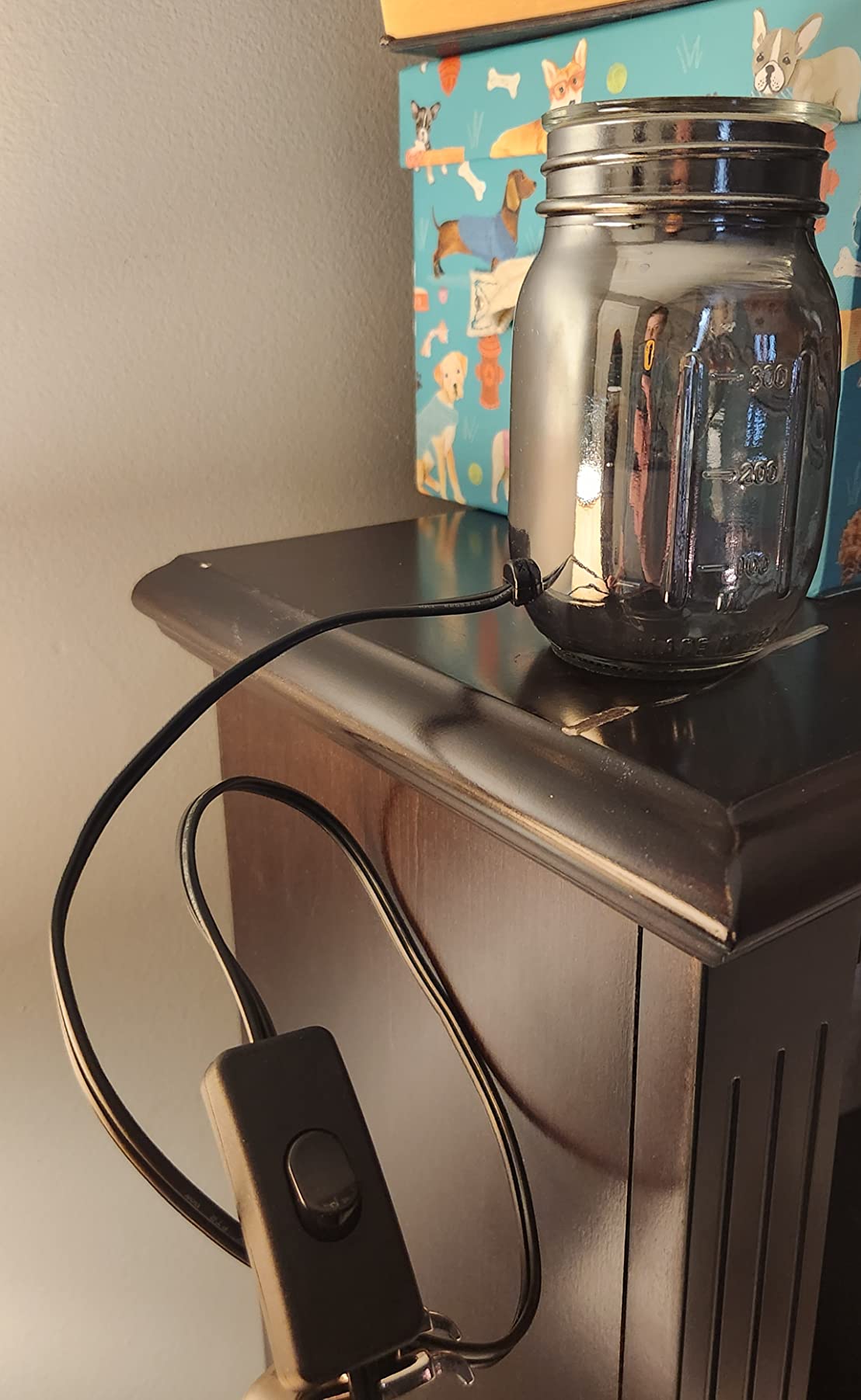 Pluggable Fragrance Warmer- Decorative Plug-in for Warming Scented Candle Wax Melts and Tarts or Essential Oils (Black) customer photo 1