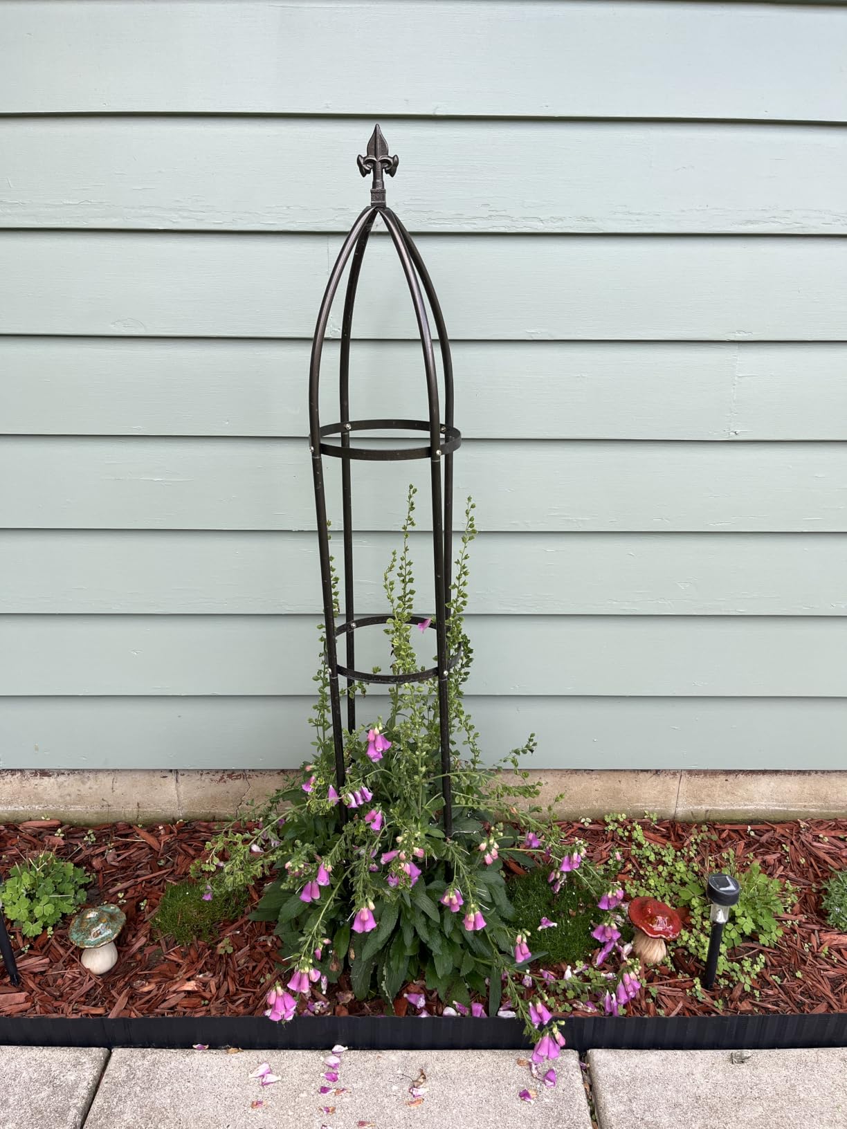 100% Metal Garden Obelisk Trellis Heavy Duty 6.3 ft Tall for Climbing Vines customer photo 2