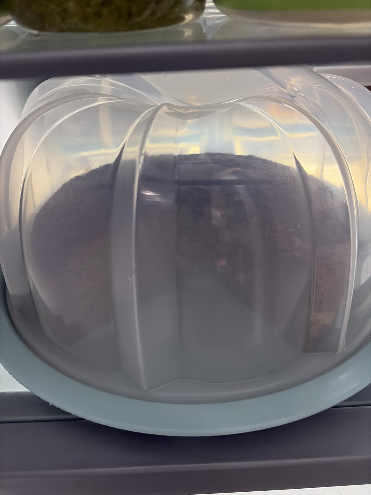 Nordic Ware Translucent Bundt Cake Keeper customer photo 2