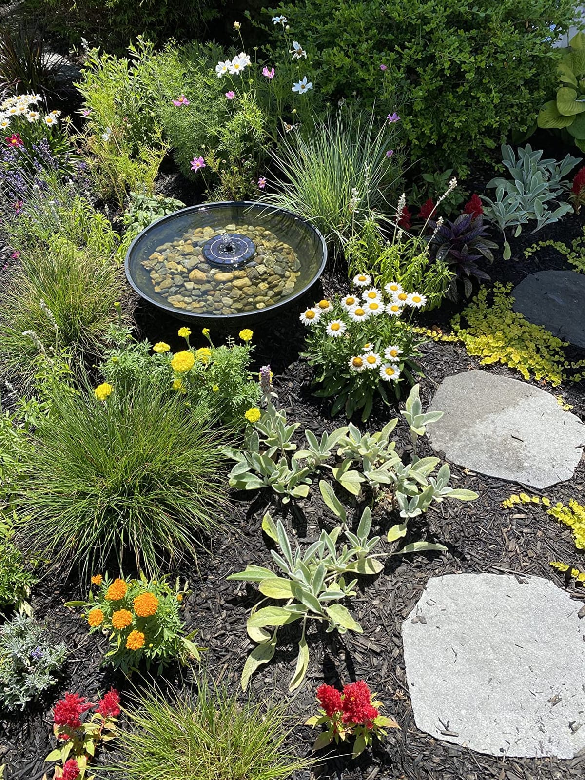 AISITIN 2.5W Solar Bird Bath Fountain Pump with 6 Nozzles & 4 Fixer customer photo 2