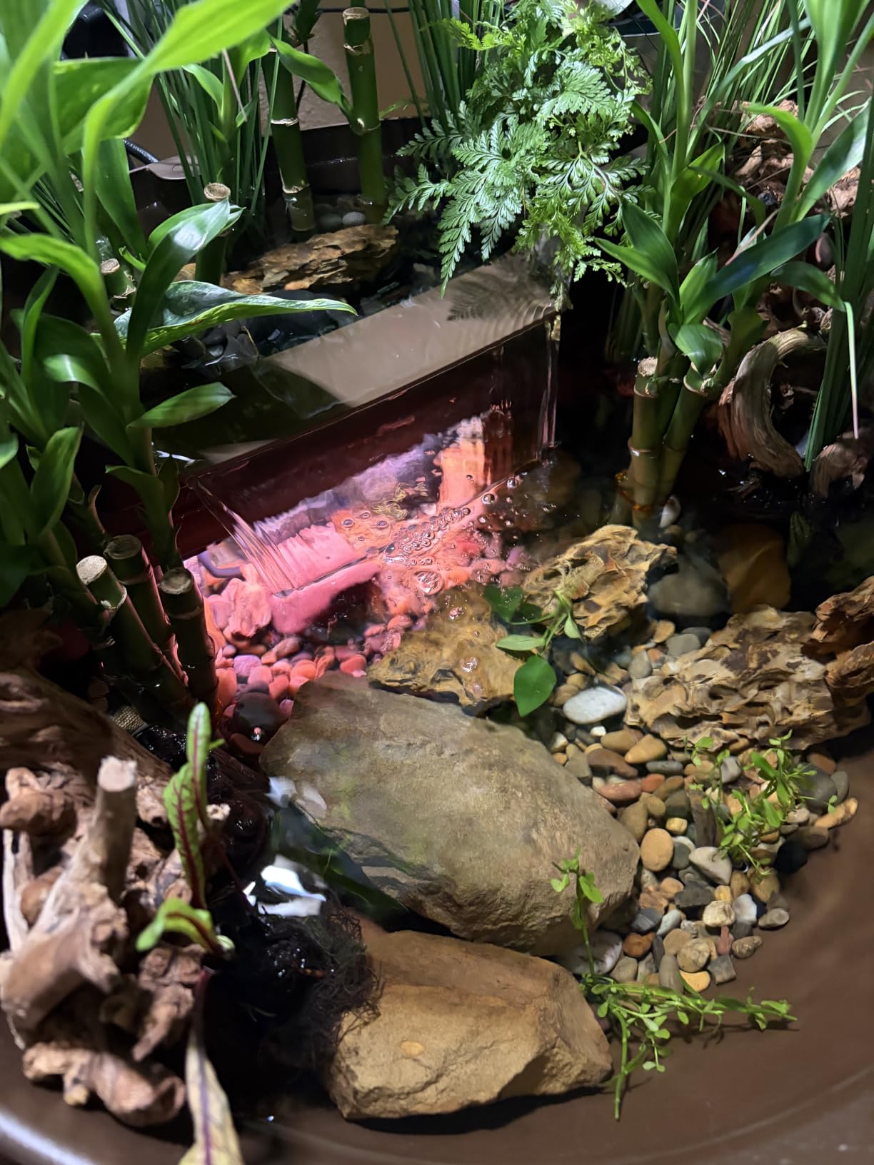 Aquascape Pond and Waterfall Kit AquaGarden Container Water Garden, Steel Gray customer photo 1